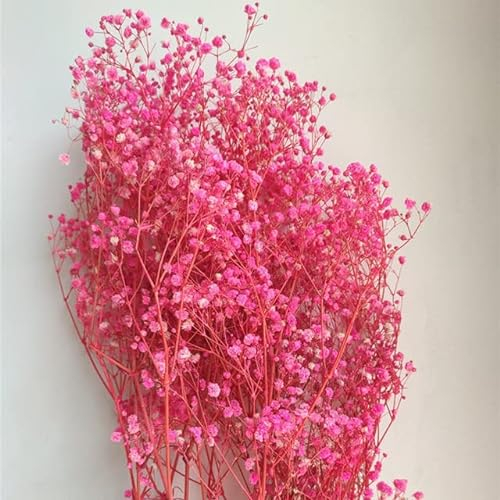 NAABHIKA 80g/Lot Weiß Gypsophila Trockenblumenstrauß Blumen Echte Blume Heimtextilien Wohnzimmer Dekoration-pink,80g