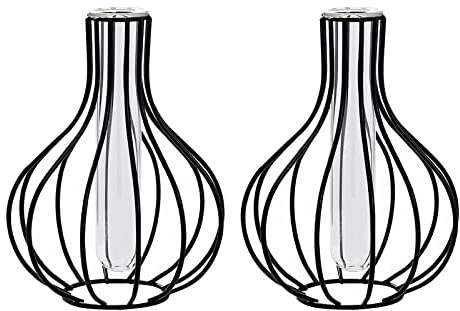 Firlar 2 x schwarze Blumenvase mit Metallrahmen, klares Glas, Reagenzglas-Vasen für Hydrokultur-Pflanze, kleine Knospenvasen, Pflanzenhalter, Geschenke für Hochzeit, Wohnzimmer, Tischdekoration
