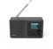 Hama Dab Radio Digital con Bluetooth y batería DR5BT (Caja portátil, Radio móvil con Dab/Dab+/FM, Pantalla a Color, fácil manejo, USB-C, Tiempo de reproducción de 8 Horas, pequeño, AUX), Color Negro