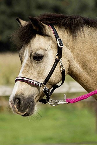 Busse Lederhalfter Nobility Pony schwarz/Strass-pink