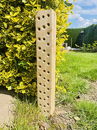 DARLUX Wildbienen - Insektenhotel Nisthilfe Hartholz Stamm Naturbelassen 600 mm Bienenhotel Stamm Insektenhotel Wildbienen Massivholz Hartholz Wildbienenhotel