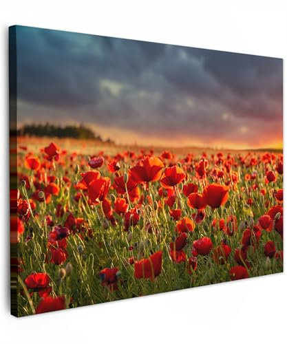 MuchoWow© Impressions sur Toile 70x50 cm Deco Tableau Murale Decoration Salon Peinture Tableaux Chambre Toiles Maison Coucher de soleil - Coquelicots - Rouge - Fleurs - Champ - Nature