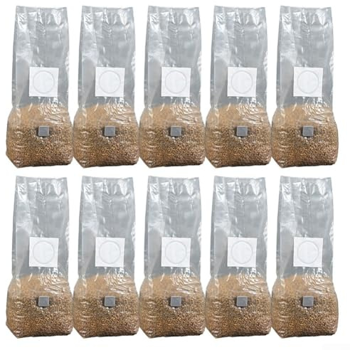 zeroupshop Sacchetti per funghi in polipropilene ad alta resa, confezione da 10, trasparenti e traspiranti, resistenti all'umidità, resistenti alla temperatura, 32 x 50 cm