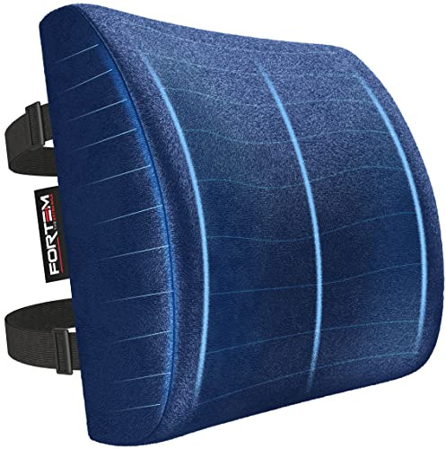 FORTEM Cojin Lumbar Silla Oficina - Almohada Lumbar con Espuma Viscoelástica de Alta Densidad y Funda Lavable - Cojin Ergonómico para Gaming, Trabajo o Viajes Largos