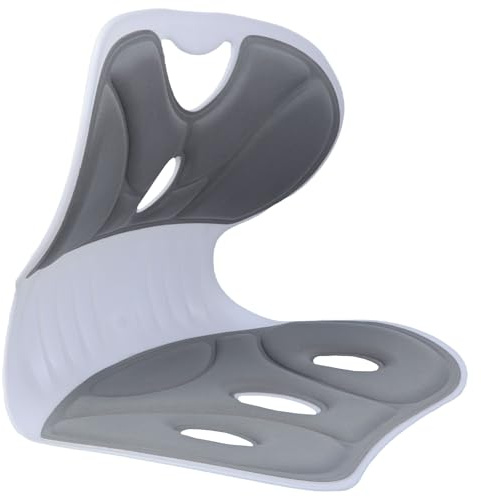 Obotsnoi Cojín corrector de postura sentado, duradero, lumbar para silla de oficina, escritorio en casa, uso en suelo, cojín de asiento para estudiantes y profesores