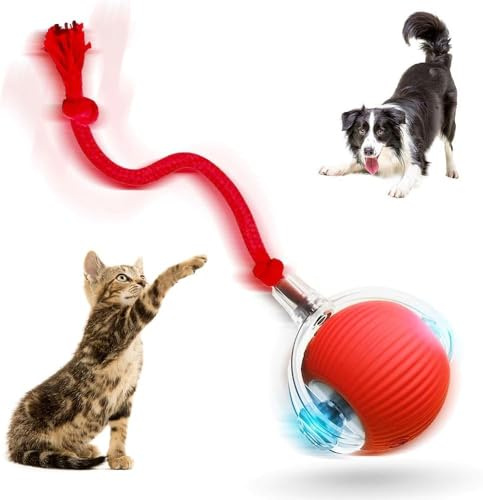 Genérico Bola De Perro De Perro Interactiva,Jugguete Electro con Carga USB, Juguetes Interactivos para Gatos Toyes Automáticos para Perros Autónomos, 360° Smart Automatic (Rojo)
