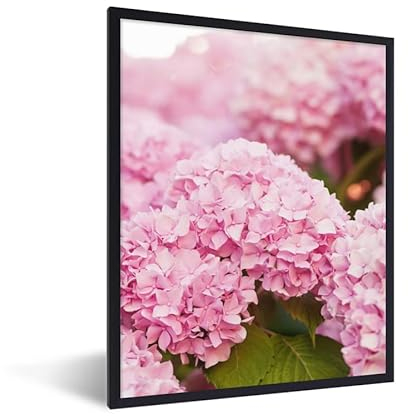 MuchoWow Poster Bilder Wanddeko Deko Wohnzimmer 30x40 cm Busch - Blumen - Rosa - Hortensie