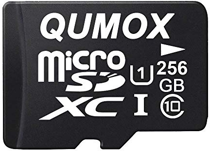 QUMOX Tarjeta de Memoria Micro SD de 256 GB, Clase 10, UHS-I de 256 GB