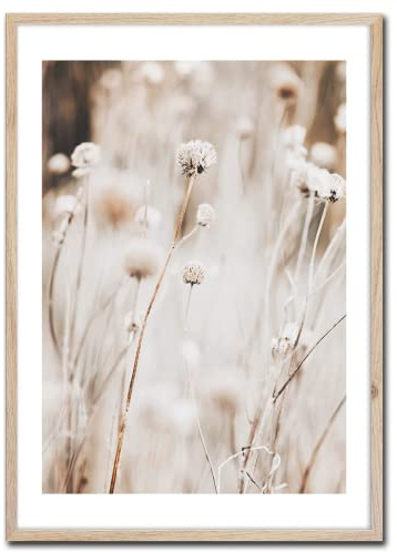STYLER Gerahmtes Bild Beige 1 50 x 70 cm | Rahmenbild Gras Feld Natur Wiese | Wohnzimmer Schlafzimmer Büro | Wanddeko Home Kunstdruck | Bild mit Rahmen | Verschiedene Poster & Größen