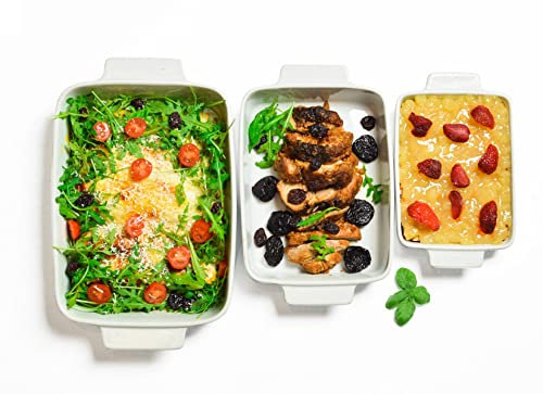 Sendez Lot de 3 plats à gratin 2,2 l 1,4 l 0,8 l