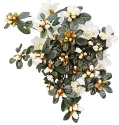 DECOALIVE Azalea Blanca en Maceta – Planta Natural para Regalo o Decoración