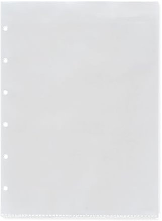 Lot de 10 pochettes transparentes pour livret de famille - 130 x 200 mm - 6 trous - Format de bureau civil DeinWeddingshop