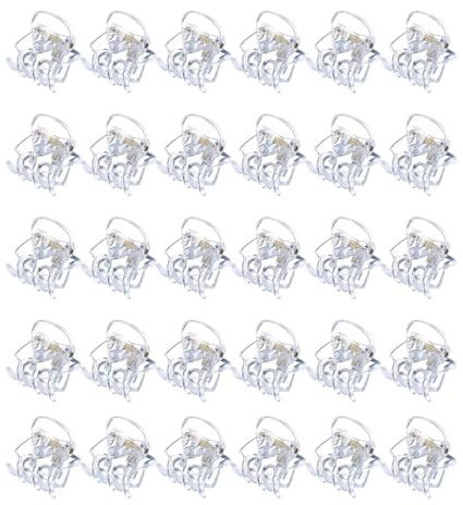 30 Stück Kleine Haarspangen, Haarklammern Klein, Mini Haar Clips, Mini Haarspangen, Kunststoff Haar Klemmen für Mädchen und Frauen, 1.5 cm Klaue Clips, Rutschfestem Griff klein Jaw Clips