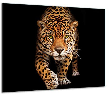 TMK Plaque de recouvrement pour cuisinière, 60 x 52 cm, en verre, décorative, pour cuisinières électriques, à induction, protection anti-éclaboussures, planche à découper, noire, motif de chat