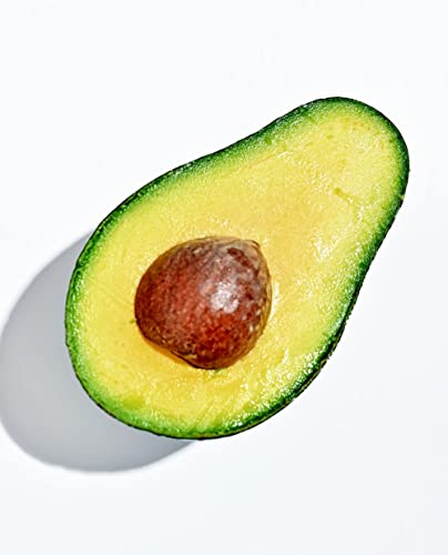Avocado-Pflanze 'Fuerte' Persea Americana Innenpflanze - im Topf Ø 18 cm - H. 100/120 cm