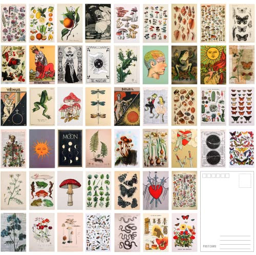 50 Stück Pflanzen Postkarten Vintage Botanical Postkarten Set Retro Ästhetisches Schmetterling Postkarten für Room Decor oder Schreiben Grußetterling Postkarten für Room Decor oder Schreiben Gruß