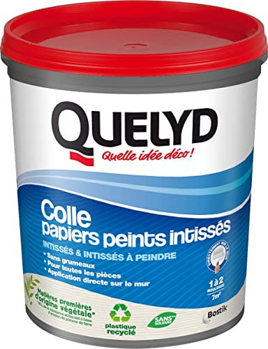 Quelyd Colle Papiers Peints Intissés en Pâte – Toutes Pièces - Application Directement Au Mur – Prête à l'Emploi – Sans Solvant – Pot de 1 Kg