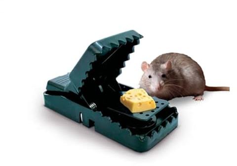 Venteo 4 Piège à Souris Tapette à Souris Professionnel - Piège réutilisable - Convient pour la - Maison et Extérieur - Souricière - Vert - Taille 6.5x10.5x5cm