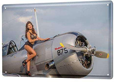 Blechschild Vintage Retro Metallschild Wandschild Blech Poster Flugzeug Flughafen Propellermaschine