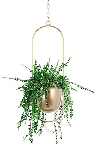 Anawakia Hängender Blumentopf Metall Hängend Blumenampel Hängende Blumenampel Metall Dekorationstopf Decke hängender Übertopf Pflanzkorb (Gold Oval)