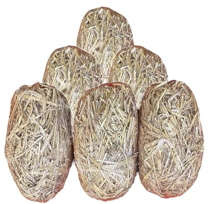 Barley Straw For Ponds 6 Pack - Barley Straw Treatment - Extract And Treat Blanket Weed - Environmentally Friendly - From Straw Bale - Best Value For Money - Heist Store Ltd
