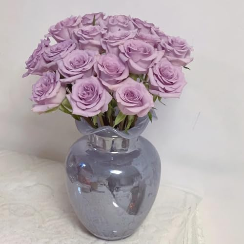 350 piezas Semillas de rosa semillas de plantas de interior, jardín de plantas Plantas de Rosas Comprar Semillas - Rosas Trepadoras Flores de balcón, decoración de otoño. semillas