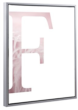 Bildershop-24 Schattenfugenrahmen Lemgo Alu geschliffen (Dekor) mit Keilrahmen Leinwand Bild Druck Motiv: Buchstabe F Rosa Design 30x40cm