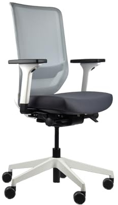 TREND OFFICE to-sync pro, ergonomischer Bürostuhl, mit Armlehnen, modernes Design, Homeoffice, umweltzertifiziert, by Dauphin (Weiß/Grau, Netz-Rückenlehne)