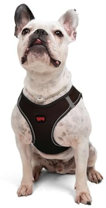 Air-Mesh Brustgeschirr für kleine und mittelgroße Katzen und Hunde – Weich, Atmungsaktiv, Strapazierfähig (Braun, L (Brustumfang 59–63,5 cm))