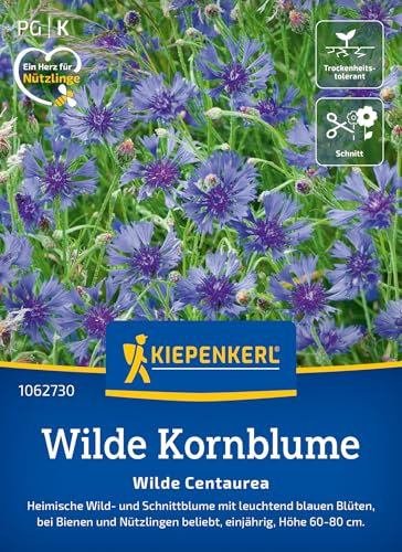 Kiepenkerl Wilde Kornblume 'Wilde Centaurea' 1062730 - Blumensamen für eine Wild- und Schnittblume mit einer Wuchshöhe von 80 bis 100 cm - Saatgut, Pflanzen