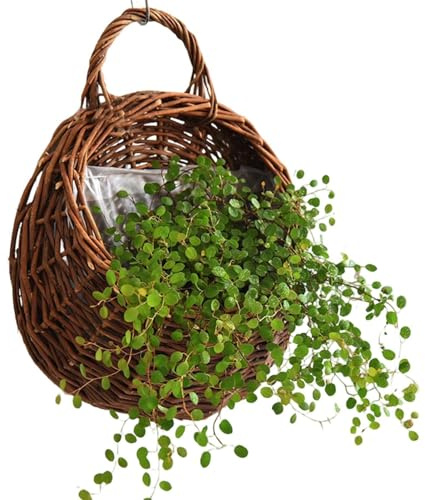 Flätad väggkorg - 38x31x13cm Handgjord naturlig rottingväxtkruka, flätad väggkorg Blomkruka, förvaringsbehållare | Hängande dekorativt element jordbruksflätning