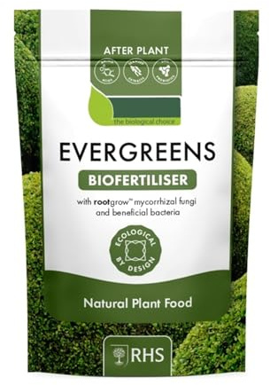 HOCHSTE After Plant Evergreens with Root grow, Mycorrhizal Fungi & Biostimulant Feed for Evergreen Trees, Shrubs, Hedges & Conifers, Root Support & Healthy Plant Growth Formula, 1kg (1 Pcs)