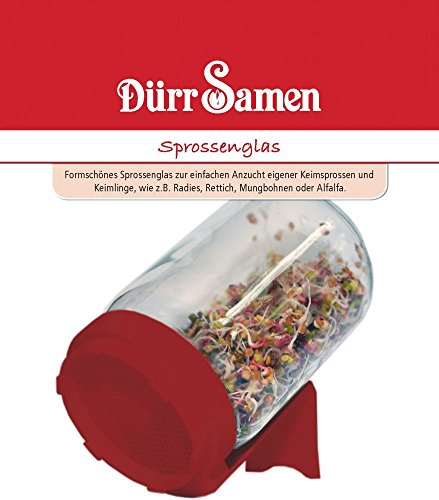 Sprossenglas von Dürr-Samen