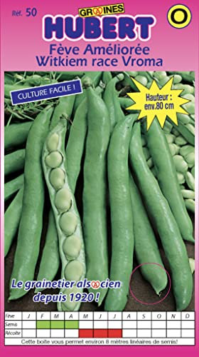 Graines de Fèves Witkiem Améliorée Vroma - 150 grammes