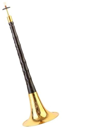 Traditionelles Chinesisches Folk-Suona-Blasinstrument, Professionelle Darbietung, Ebenholz-Suona Suona Set (Color : G minor)