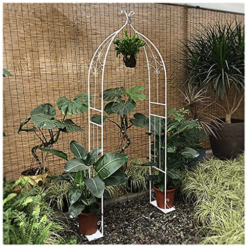 Steel Garden Trellis ，Decorative Metal Garden Arbor with Gothic Style, for Rose Vines Plant Climbing Patio Lawn Backyard Party Wedding Ceremony Decoration Outdoor Gardening Walkway