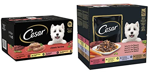 Cesar Classic Terrine Wet Dog Food, Mixed Selection in Jelly, Pack of 3 & Pouch Selection in Sauce, Fresh Adult Wet Dog Food Pouches in Delicious Sauce with Succulent Meats and Vegetables, Pack of 2