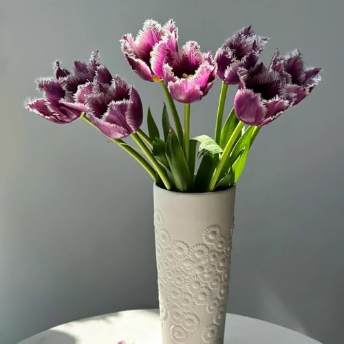 Bulbi di tulipano, bulbi di per luoghi soleggiati rare da balcone di da giardino roccioso 10pcs