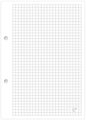 Interdruk Inserto per raccoglitori ad anelli, formato A4, a quadretti, 5 x 100 fogli