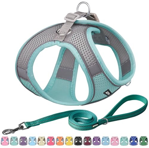 AIITLE Bequemes Hundegeschirr und Leine für Spaziergänge, Türkis XS | Schritt in Weste Geschirr, reflektierende Bänder, verstellbare No Pull Puppy Essentials, für kleine Hunde und Hauskatzen