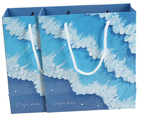 VICASKY 2stücke Geschenktüte aus Papier Papieraufbewahrungsbeutel Geschenktüte aus Papieraufbewahrungsbeutel Papieraufbewahrungstasche Geschenkbeutel aus Hochwertigem Papier