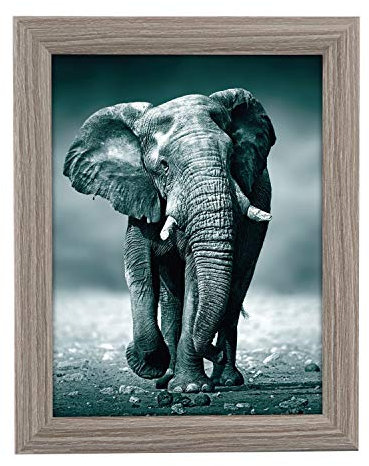 goldbuch 92 0744 Bilderrahmen Toscana aus Holz, Fotorahmen für Bild im 15x20 cm Format, Portraitrahmen mit Aufsteller & Wandhalterung, Einzelrahmen aus MDF, Foto Rahmen, grau