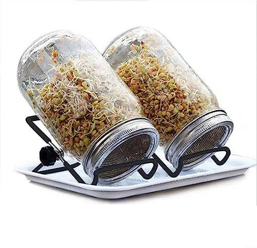 DAZZLEEX Juego de tarros de germinación con rejilla para germinación de frijoles, brotes de brócoli, alfalfa, 24 x 18 x 2,5 cm