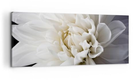 Wandbilder Dekoration Wohnzimmer Blume Dahlie Natur Panorama Bilder auf Leinwand 120x50cm Leinwandbild Schlafzimmer Küche Wand Kunstdruck Art Groß Wanddeko Bild Wall Decor Canvas AB120x50-5229