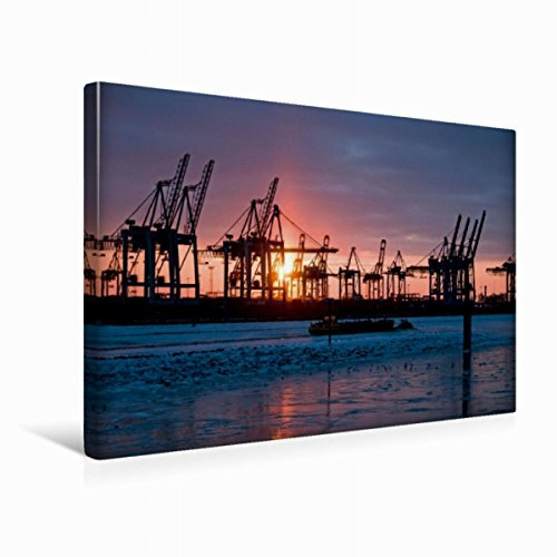 Premium Textil-Leinwand 45 x 30 cm Quer-Format Kräne im Sonnenuntergang | Wandbild, HD-Bild auf Keilrahmen, Fertigbild auf hochwertigem Vlies, Leinwanddruck von Borg Enders