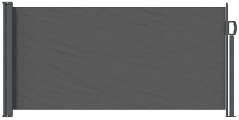 vidaXL Toldo Lateral retráctil Gris Antracita 300 x 100 cm Poliéster