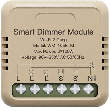 Mini Dimmer WIFI 2,4G, Triac Dimmer, Taglio di Fase Con Pulsante, 2 Canali Per 2 Punti Luci, 2X100W, APP TUYA Smart Life, 40x40x18mm, Usa 2 Push Switch Come Deviatore