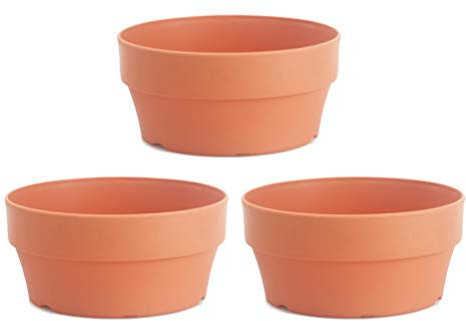 3 Piezas de Macetas de Arcilla de Terracota Maceta Suculenta Maceta de Cactus Maceta de Plantas Macetas de Flores para Alféizar de Jardín Interior Al Aire