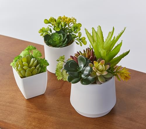 Jobary 3 Stück Künstliche Pflanzen，Kunstpflanze Sukkulenten，Mini Deko Pflanzen,kunstpflanze klein, für Wohnzimmer Schlafzimmer Badezimmer Küchen Zuhause Innen Deko