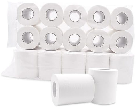SOLUSTRE 10rollen Toilettenpapier Aus Holzzellstoff Klein Weiß Für Zuhause Und Hotel Umweltfreundlich Verformungsbeständig